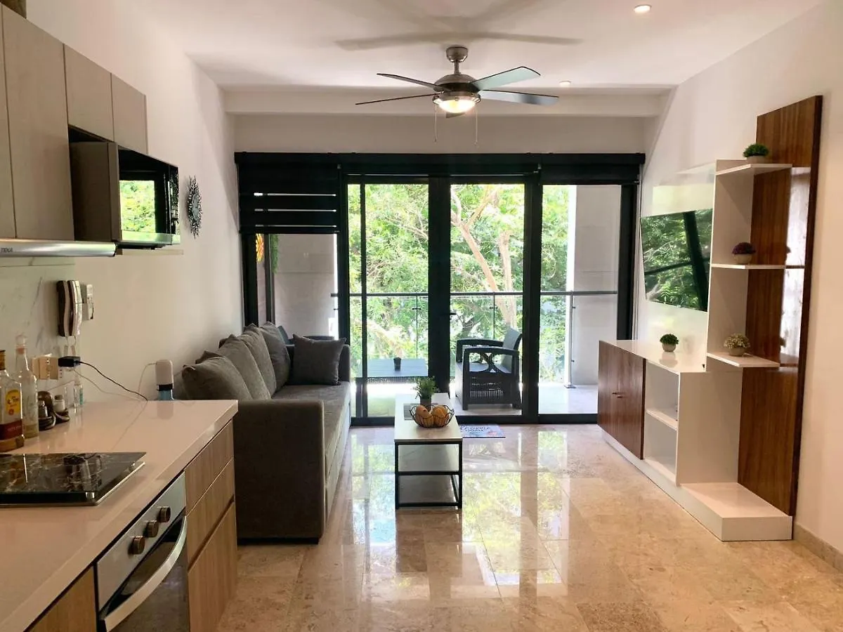 Ipana Dream Downtown Playa Del Carmen Apartment Mexico